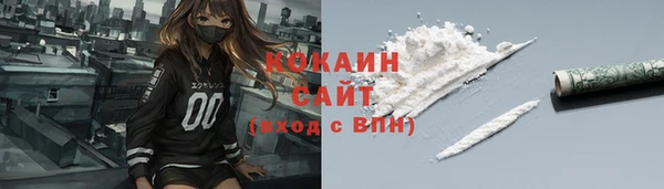 кокс Алексин